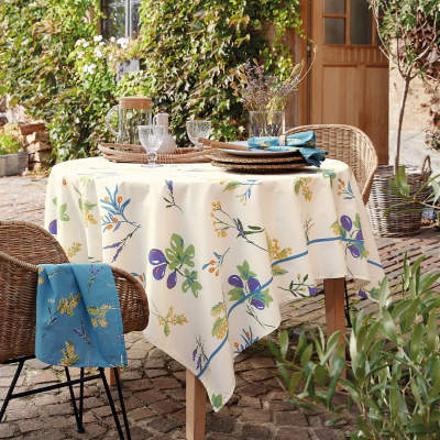Notes provencales - Nappe