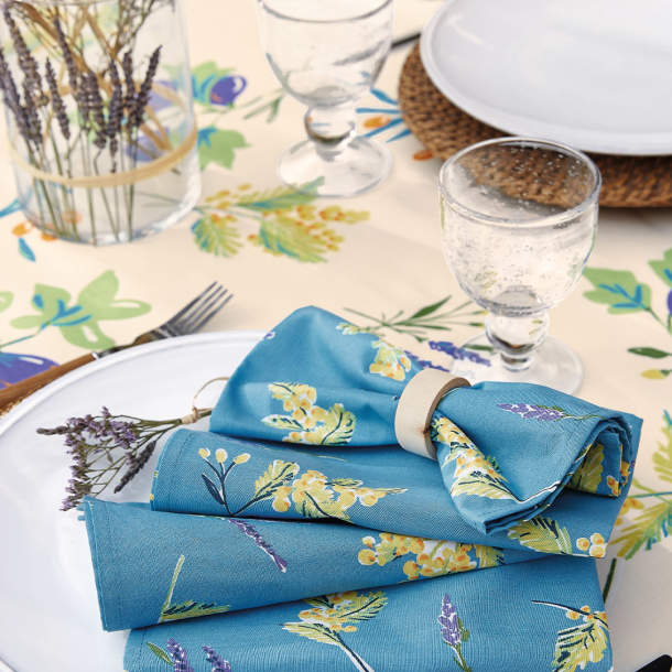 Nappe - Notes provencales